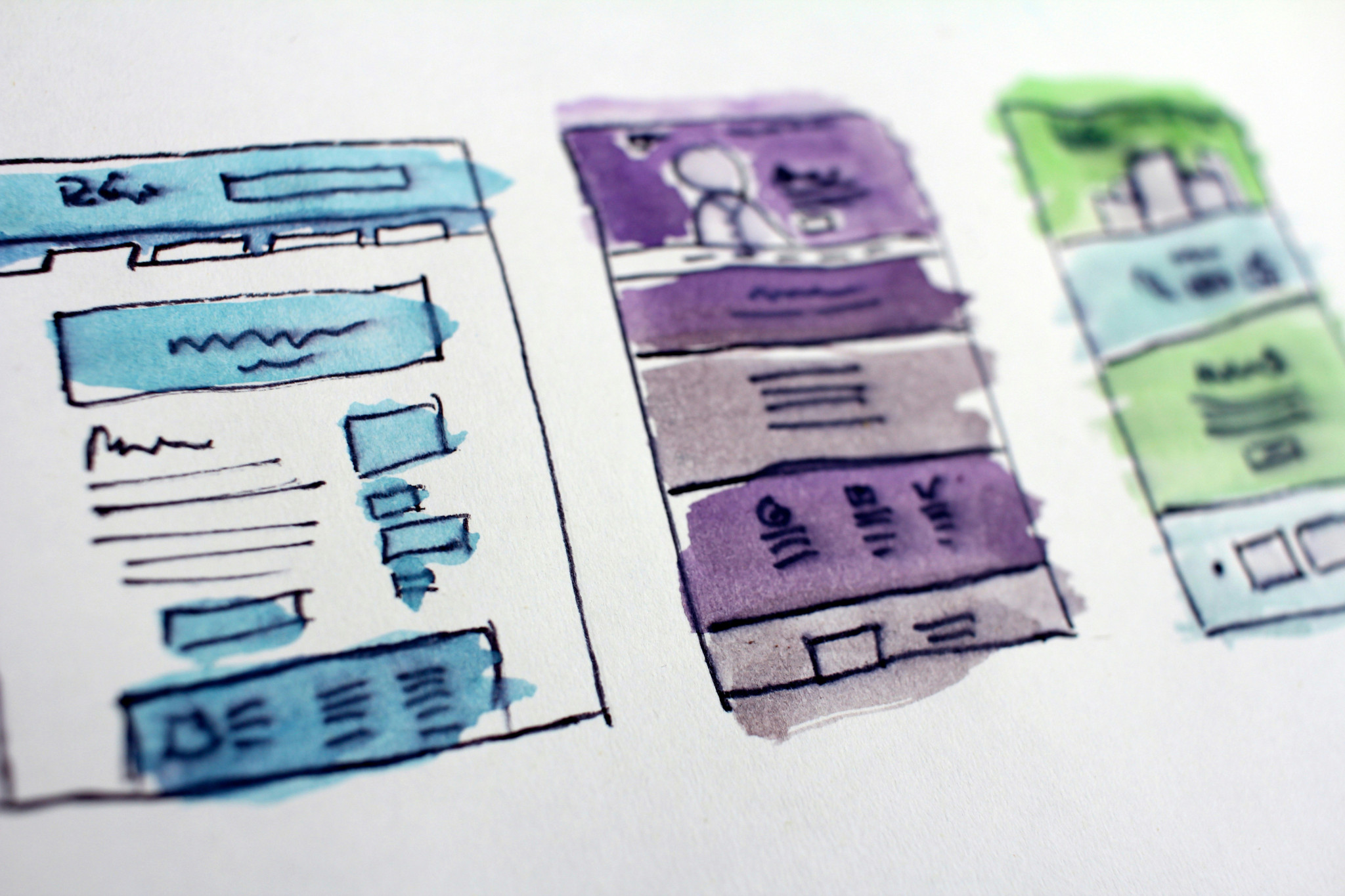 Website Design & Development